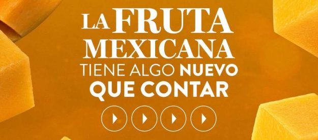 JUMEX NECTAR (1)